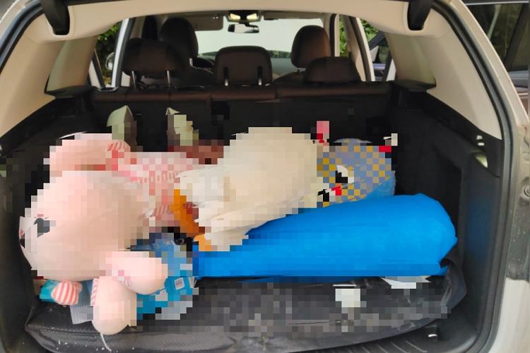 Used BMW X3 2022 xDrive30i Luxury Model M Night Sky Package
