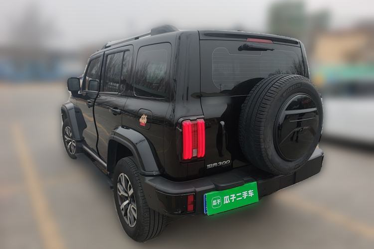 Used Tank 300 2024 2.0T Crosser