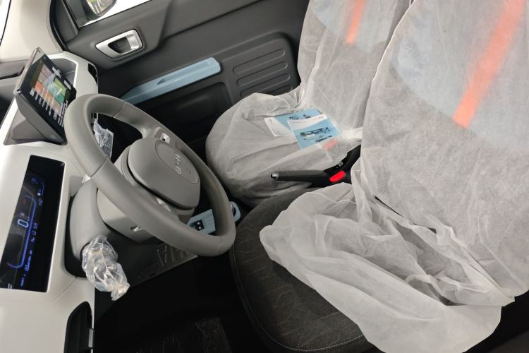 Used  Panda 2024 Panda Mini 200km Endurance Bear
