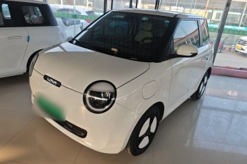 Used Qiyuan Lumin 2025 205 km Xiangqin Version