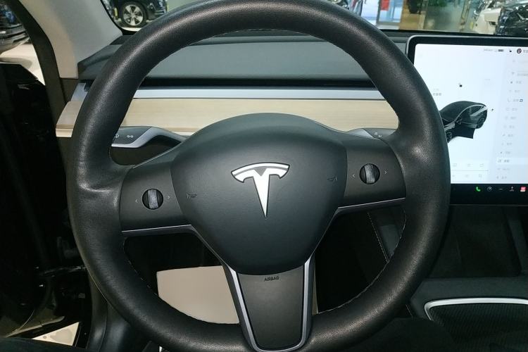 Used Tesla Model Y 2021 Standard Range Rear-Wheel Drive Version
