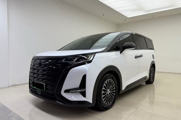 Used Denza D9 2024 DM-i 980 Four-Wheel Drive Flagship Model
