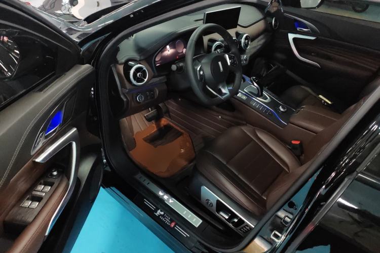 Used Wey VV7 2020 2.0T Flagship Edition
