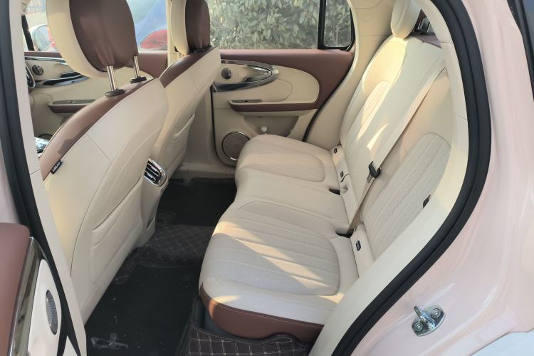 Used ORA Ballet Cat 2023 401 km Luxury Version