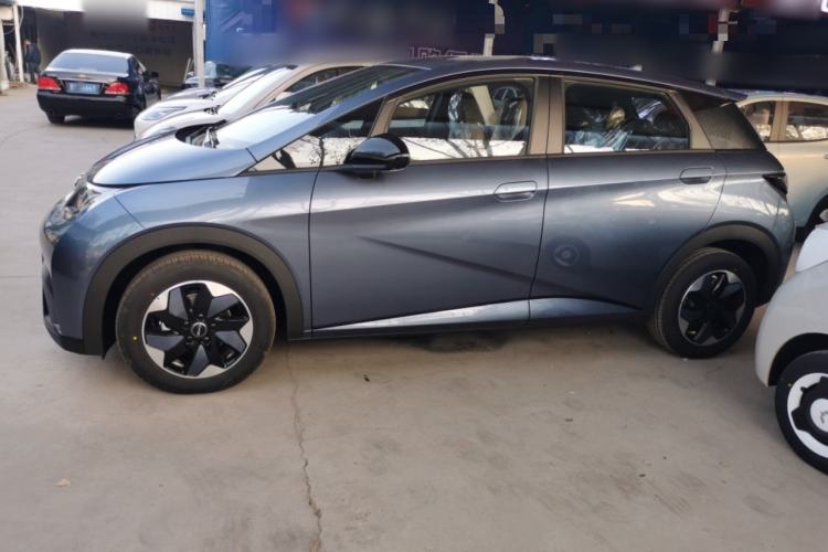 Used BYD Dolphin 2025 420km Free Edition
