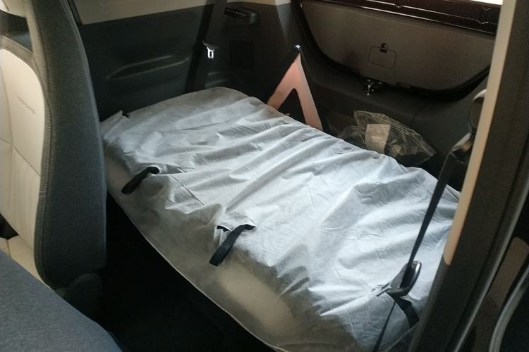 Used  Panda 2025 210km Panda Kart
