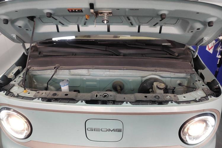 Used  Panda 2023 Panda Mini 200km Endurance Bear
