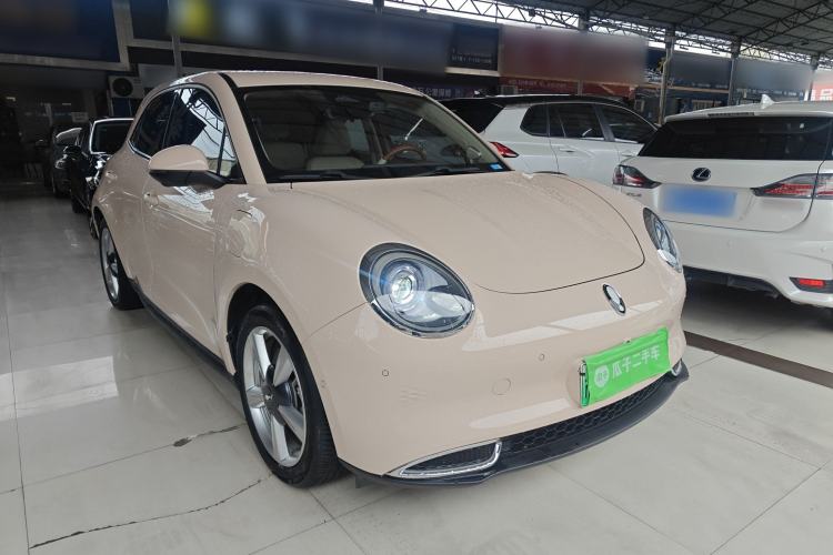 Used ORA Good Cat 2022 400km Standard Range Luxury Version Lithium Iron Phosphate