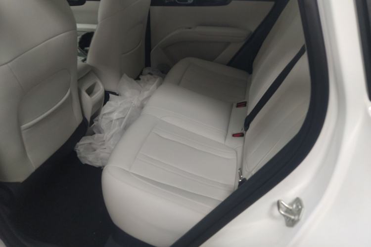 Used  Geome 2025 310km Youth Edition
