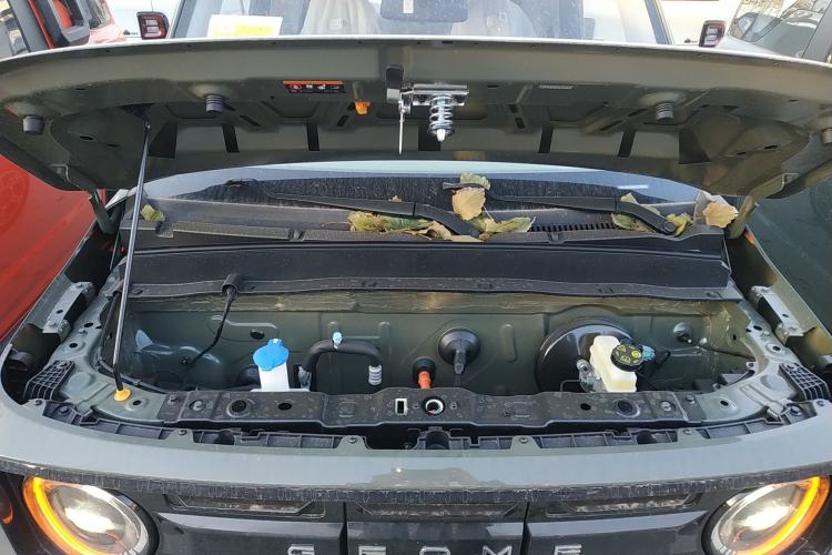 Used  Panda 2025 210km Panda Rider
