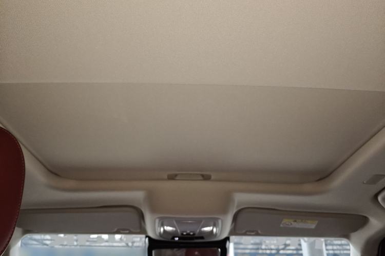 Used Tank 300 2025 2.0T Conqueror