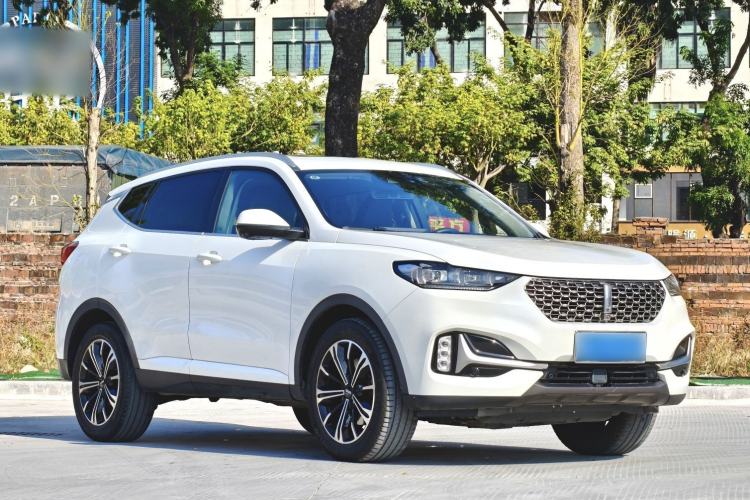 Used Wey VV6 2021 2.0T Two-Wheel Drive Smart Protection+
