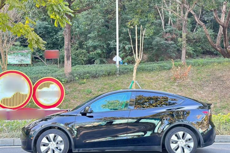 Used Tesla Model Y 2022 Revised Version Rear-Wheel Drive