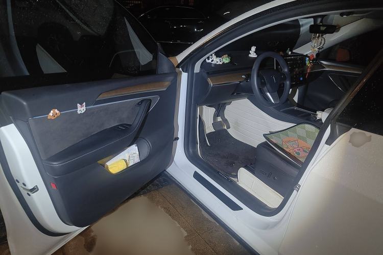 Used Tesla Model Y 2021 Standard Range Rear-Wheel Drive Version
