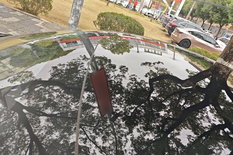 Used Tesla Model 3 2019 Standard Range Rear-Drive Upgraded Version