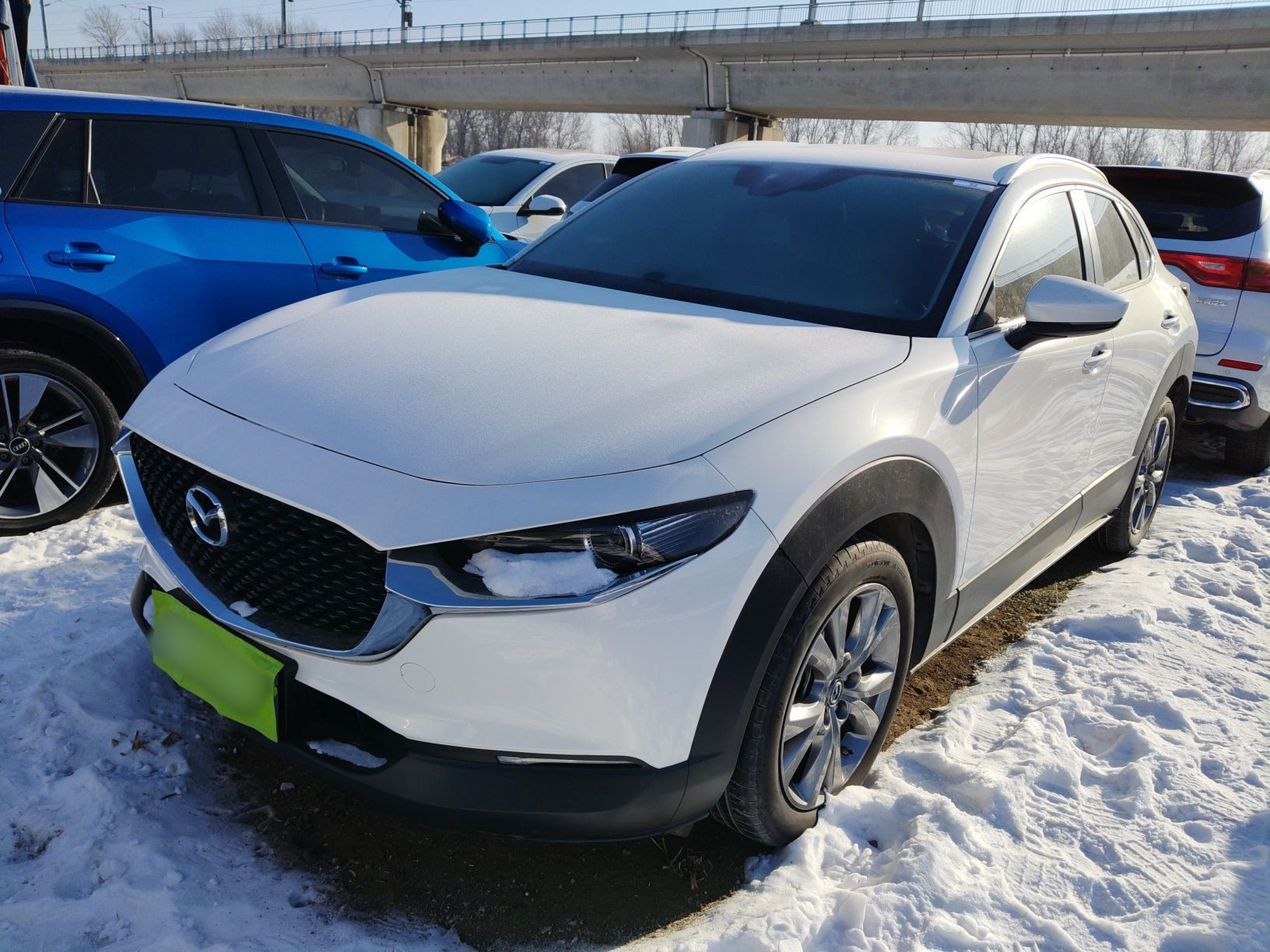 تحت مقدمة السيارة