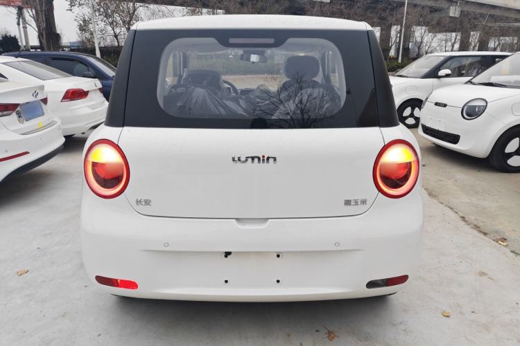 Used  Lumin 2025 205 km Xiangqin Version