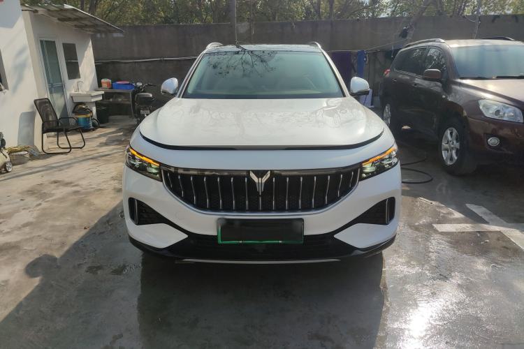 Used VOYAH FREE 2021 Four-Wheel Drive Standard All-Electric Exclusive Luxury Package
