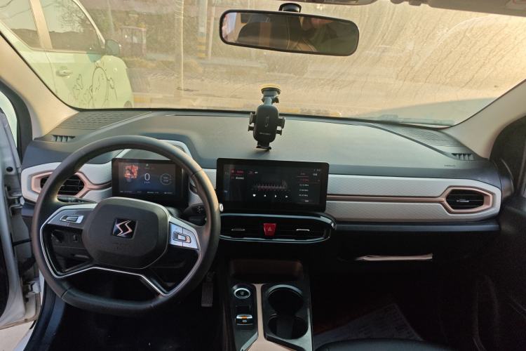 Used SOL E10X 2022 Flower Fairy Design Four-Leaf Clover