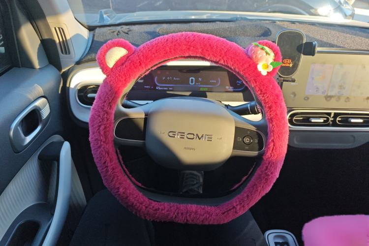 Used  Panda 2025 210km Panda Kart
