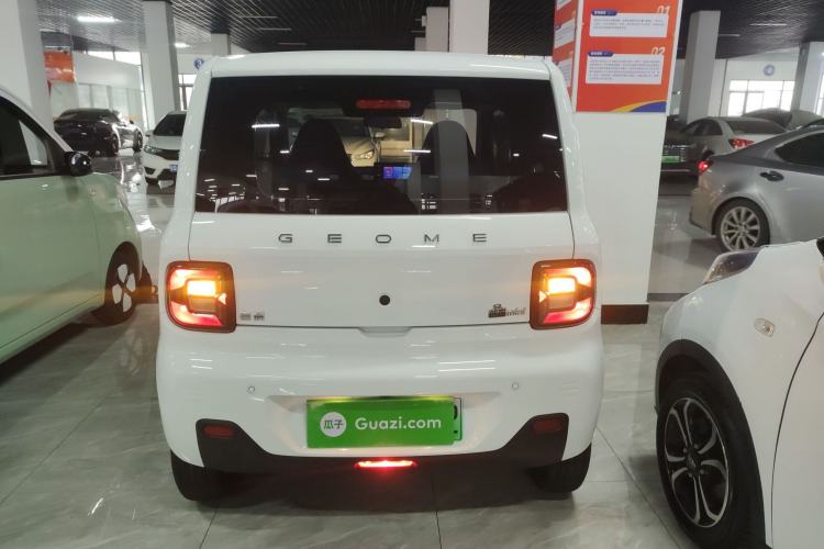 Used  Panda 2024 Panda Mini 200km Endurance Bear
