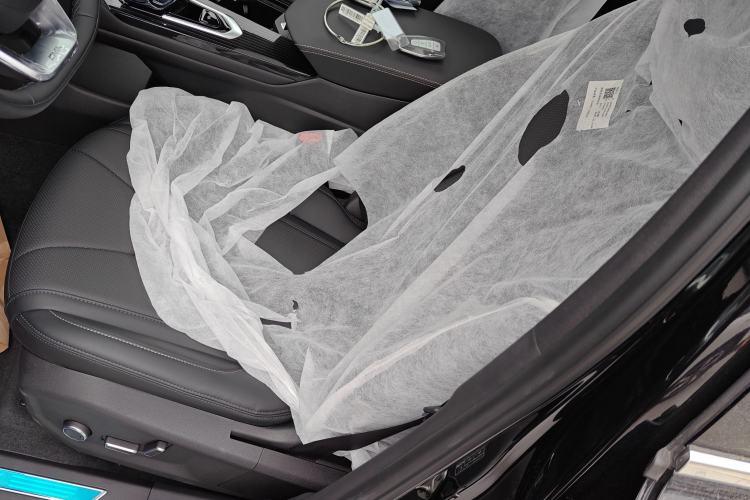 Used Geely Auto Monjaro L 2024 2.0TD DCT EVO Two-Wheel Drive Long-Range Version
