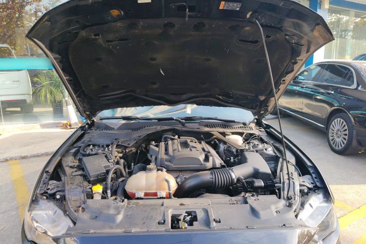 Used Ford Mustang 2019 2.3L EcoBoost
