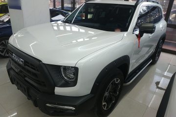 Used Haval DARGO 2024 2.0T DCT Chinese Rural Dog Edition
