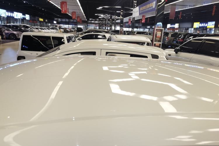 Used  Geome 2025 310km Youth Edition
