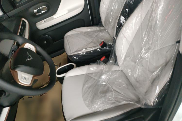 Used Cowin October 2025 Mate 300km Surfing Edition