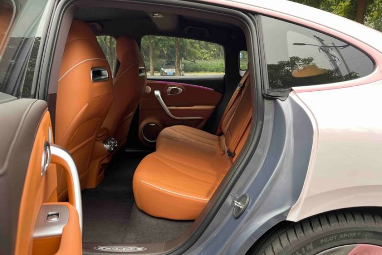 Used ORA Lightning Cat 2022 555 km Luxury Edition
