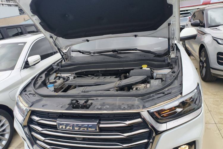 Used Haval H6 2023 National Trend Edition 1.5T Automatic Urban Version
