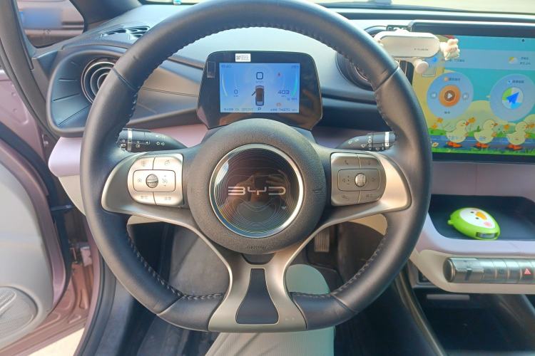 Used BYD Dolphin 2021 405 km Free Version