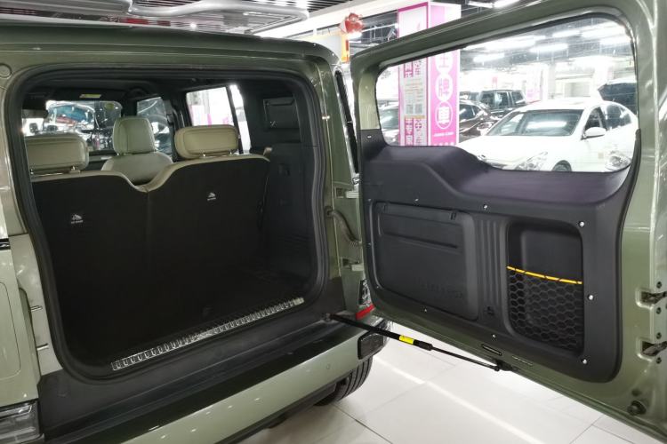 Used  V23 2025 501 Four-Wheel Drive Advanced Version
