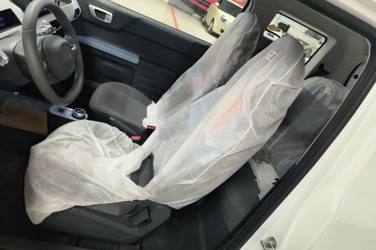 Used  Panda 2024 Panda Mini 200km Endurance Bear
