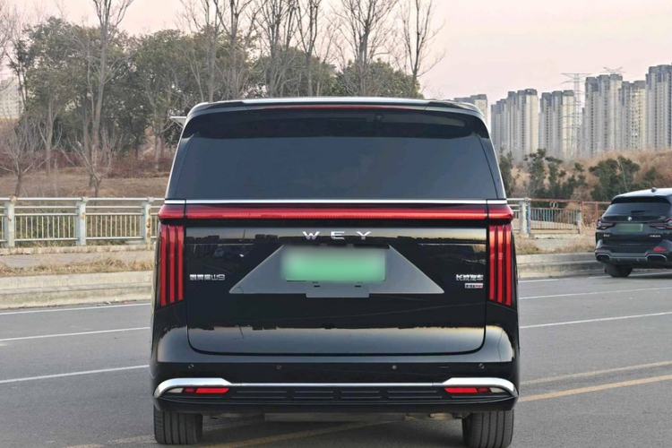 Used Wey Gaoshan 2025 Four-Wheel Drive Alpine 9
