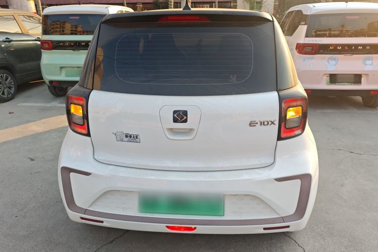 Used SOL E10X 2022 Flower Fairy Design Four-Leaf Clover