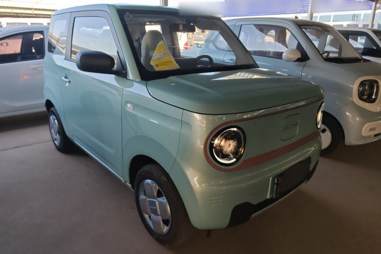 Used  Panda 2024 Panda Mini 200km Endurance Bear