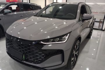Used BYD Tang New Energy 2025 DM-i 115KM Prestige Model