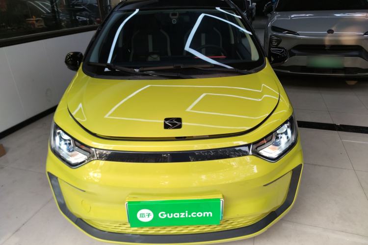 Used SOL E10X 2022 Flower Fairy Design Four-Leaf Clover
