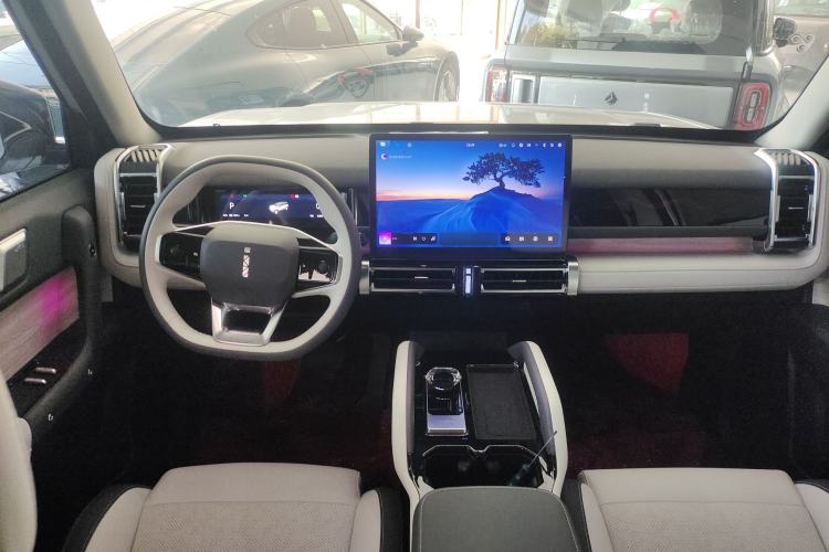 Used  03 2024 501km Four-wheel Drive Long-Range Advanced Version