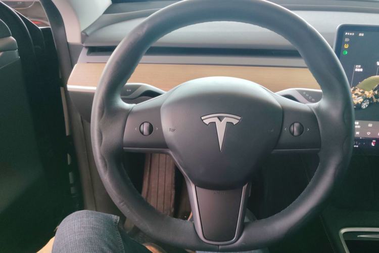 Used Tesla Model Y 2021 Standard Range Rear-Wheel Drive Version
