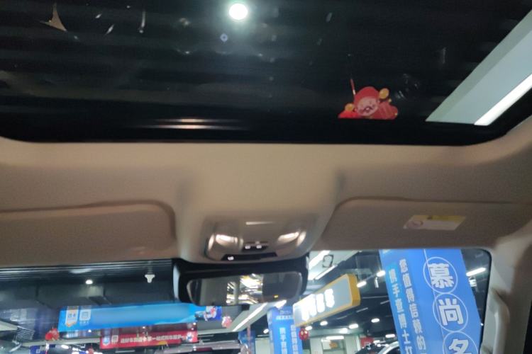 Used Tank 300 2023 2.0T Iron Rider 02