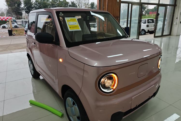 Used  Panda 2024 Panda Mini 200km Endurance Bear