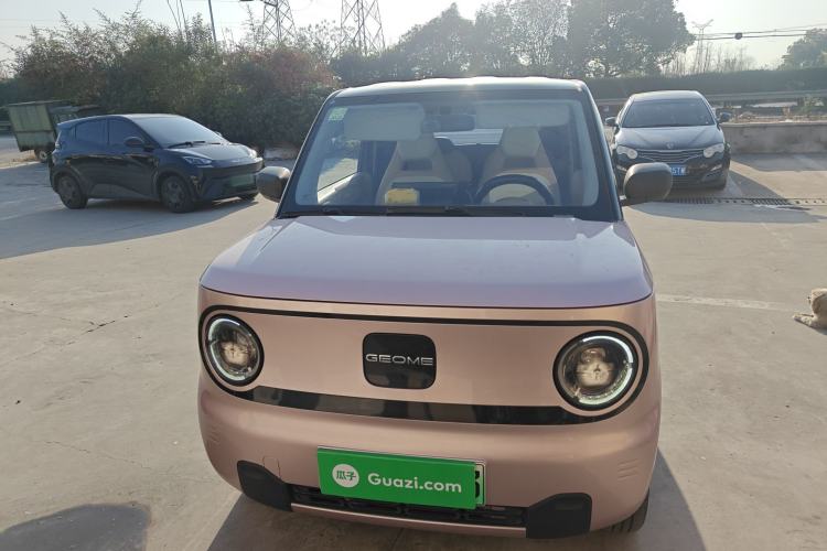 Used  Panda 2023 Panda Mini 200km Endurance Bear
