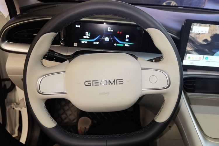 Used  Geome 2025 310km Youth Edition
