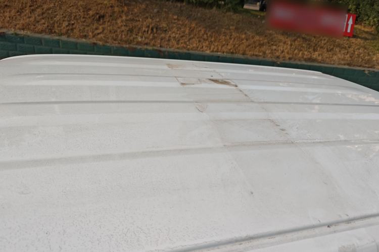 Used  Panda 2024 Panda Mini 200km Endurance Bear
