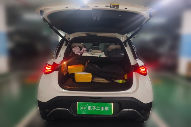 Used  #1 2022 Pulse Heartbeat Edition