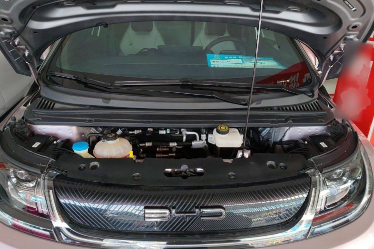 Used BYD Dolphin 2021 405 km Fashion Edition
