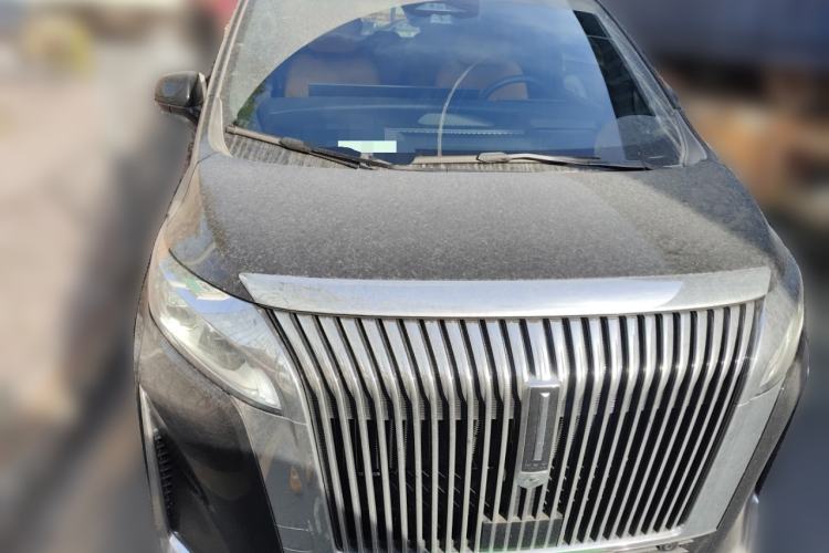 Used Wey Gaoshan 2025 Four-Wheel Drive Alpine 8